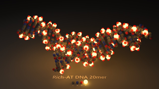 Rich-AT DNA 20mer