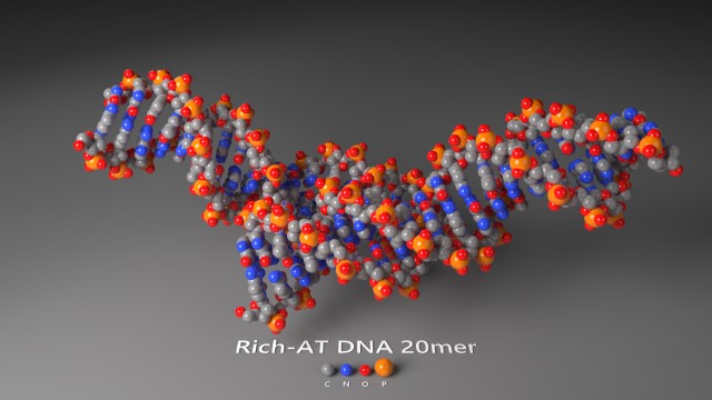 Rich-AT DNA 20mer